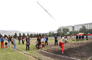 港澳免费资科大全