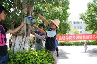 港澳免费资科大全